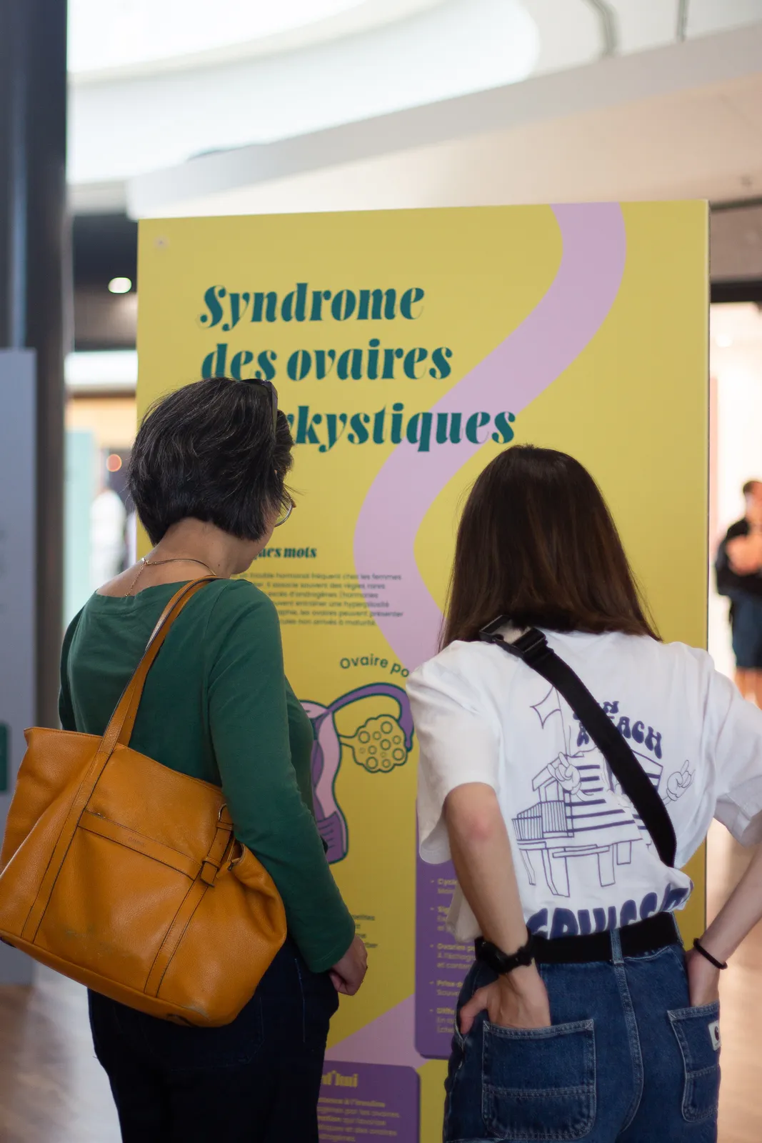 Exposition pédagogique, grands panneaux